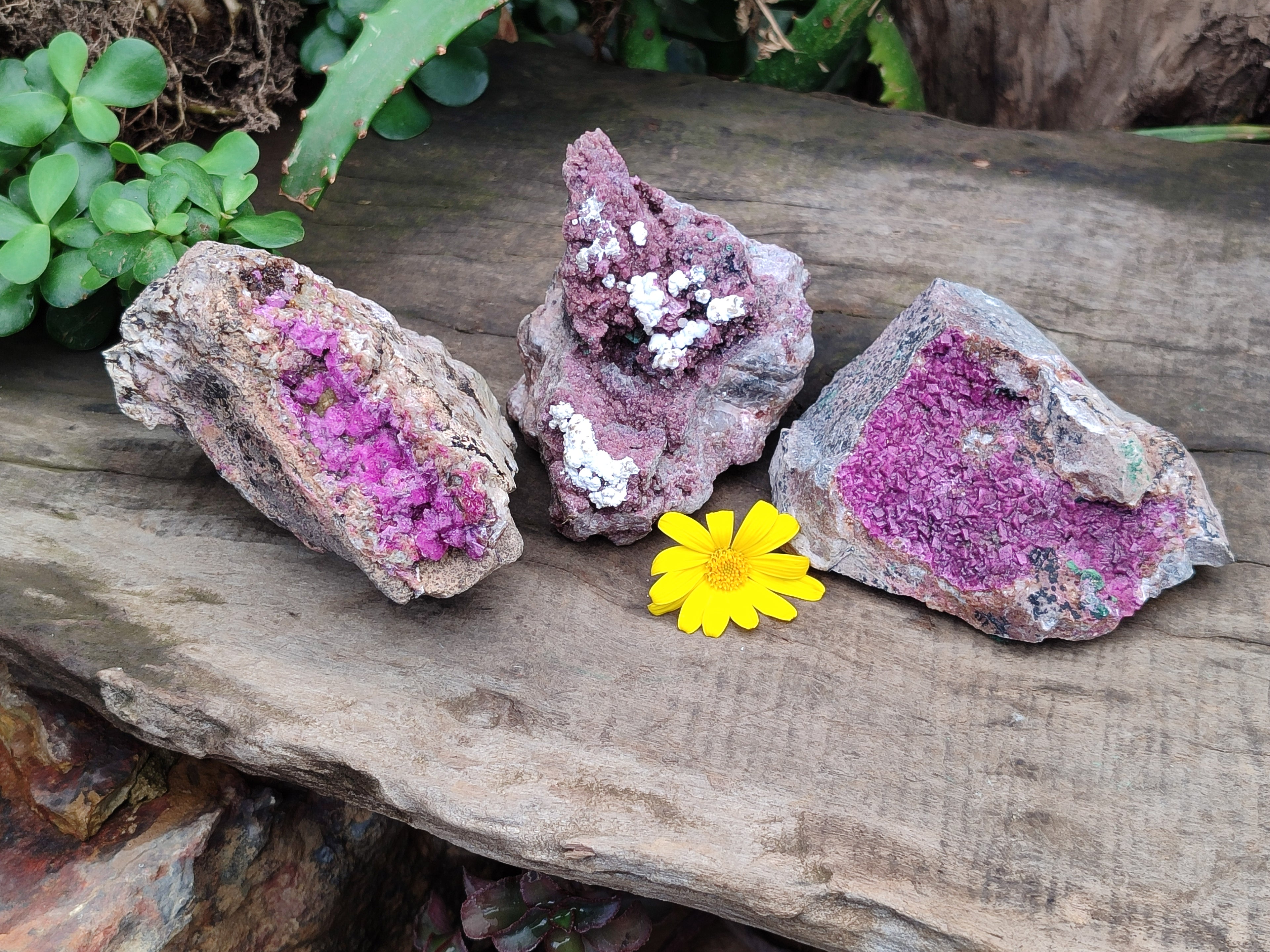 Natural Salrose Cobaltion Dolomite Specimens x 3 From Kakanda, Congo - Toprock Gemstones and Minerals 