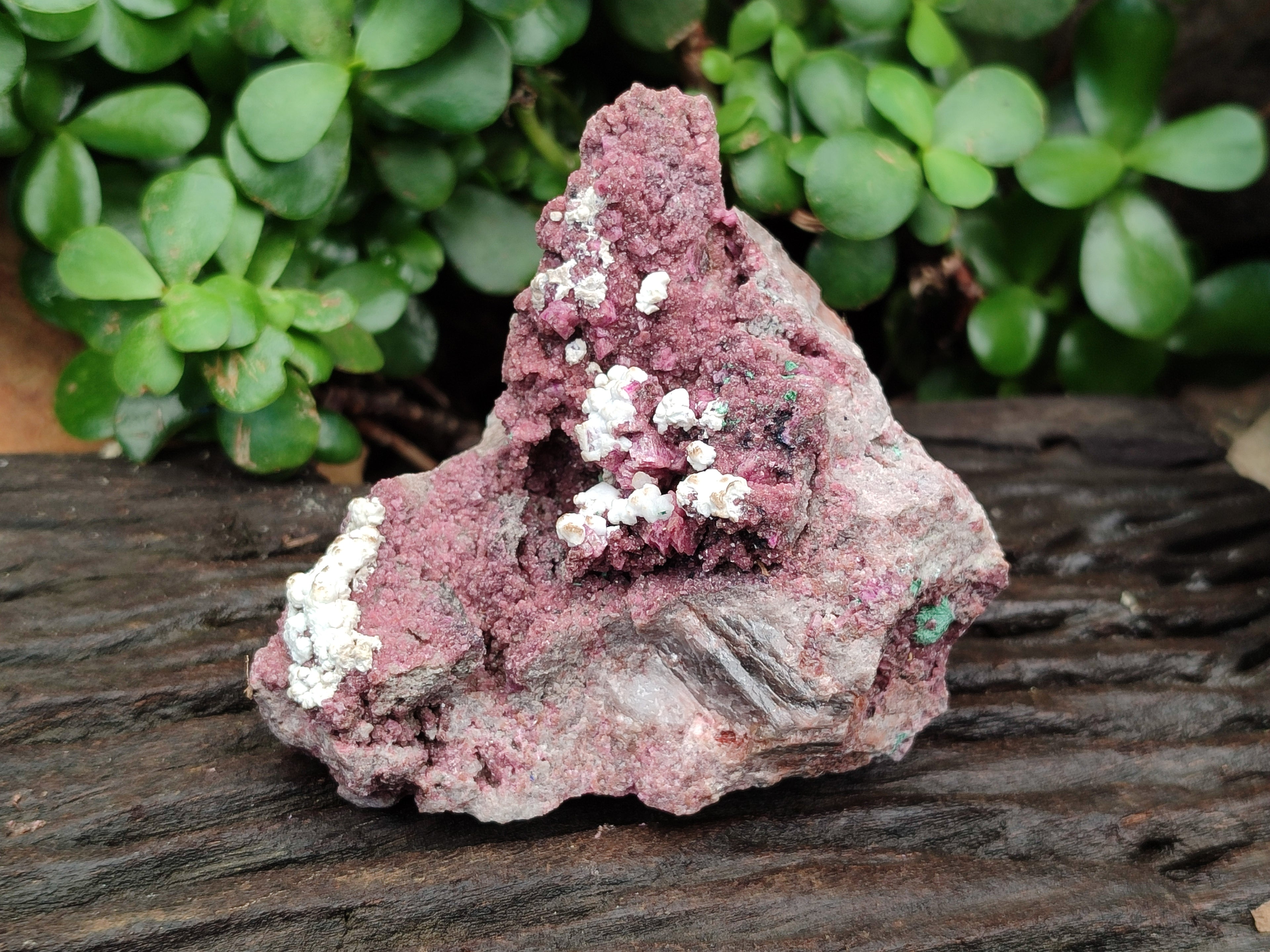 Natural Salrose Cobaltion Dolomite Specimens x 3 From Kakanda, Congo - Toprock Gemstones and Minerals 