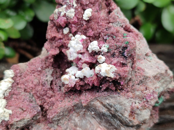 Natural Salrose Cobaltion Dolomite Specimens x 3 From Kakanda, Congo - Toprock Gemstones and Minerals 