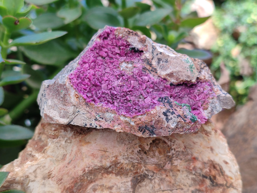 Natural Salrose Cobaltion Dolomite Specimens x 3 From Kakanda, Congo - Toprock Gemstones and Minerals 