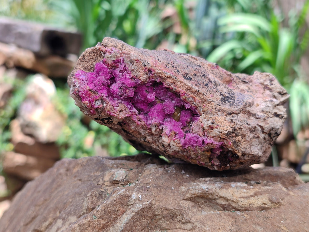 Natural Salrose Cobaltion Dolomite Specimens x 3 From Kakanda, Congo - Toprock Gemstones and Minerals 