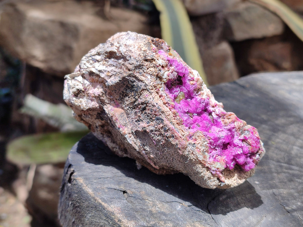 Natural Salrose Cobaltion Dolomite Specimens x 3 From Kakanda, Congo - Toprock Gemstones and Minerals 
