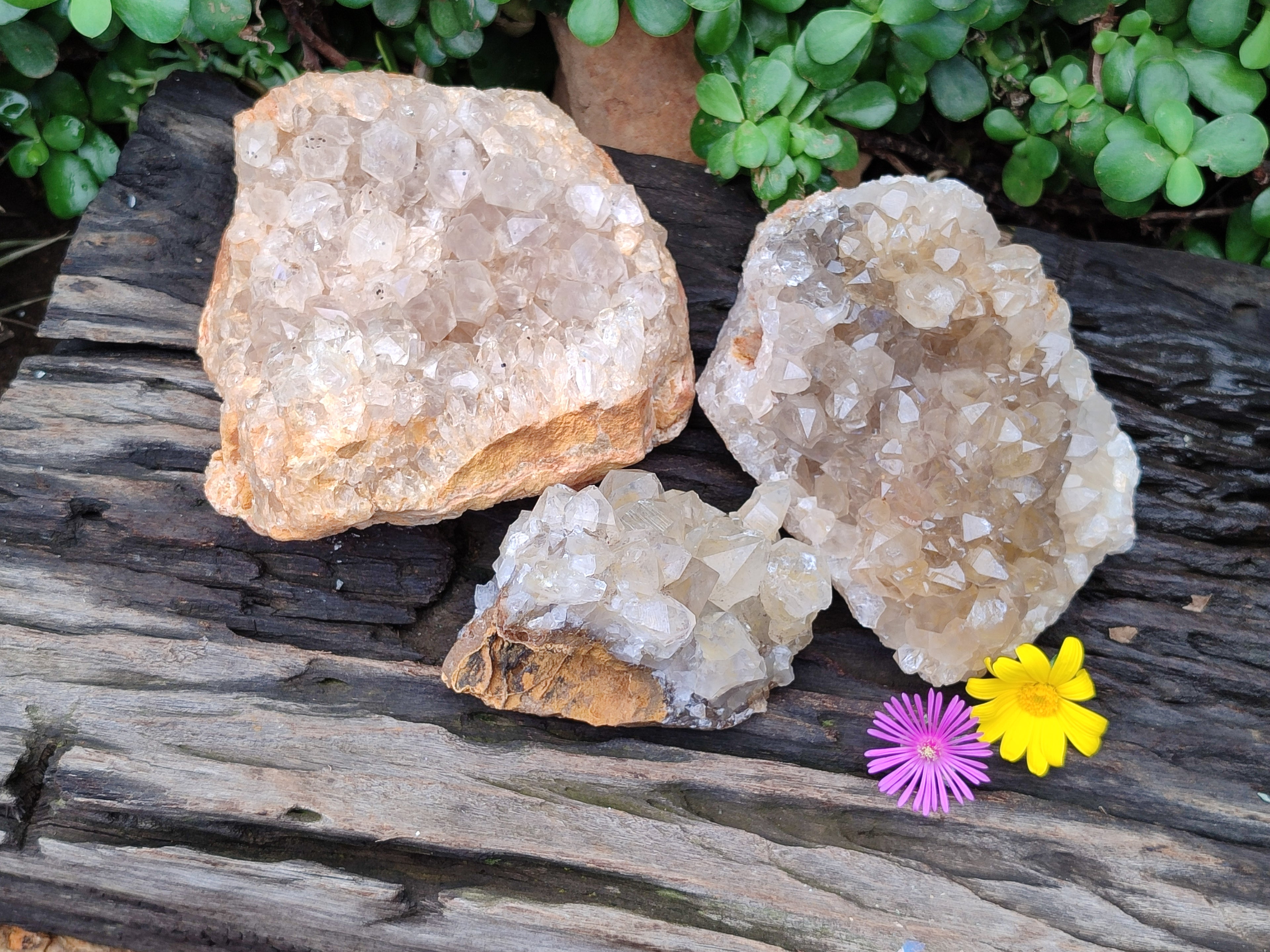 Natural Limonite Quartz Clusters x 3 From Zambia - Toprock Gemstones and Minerals 