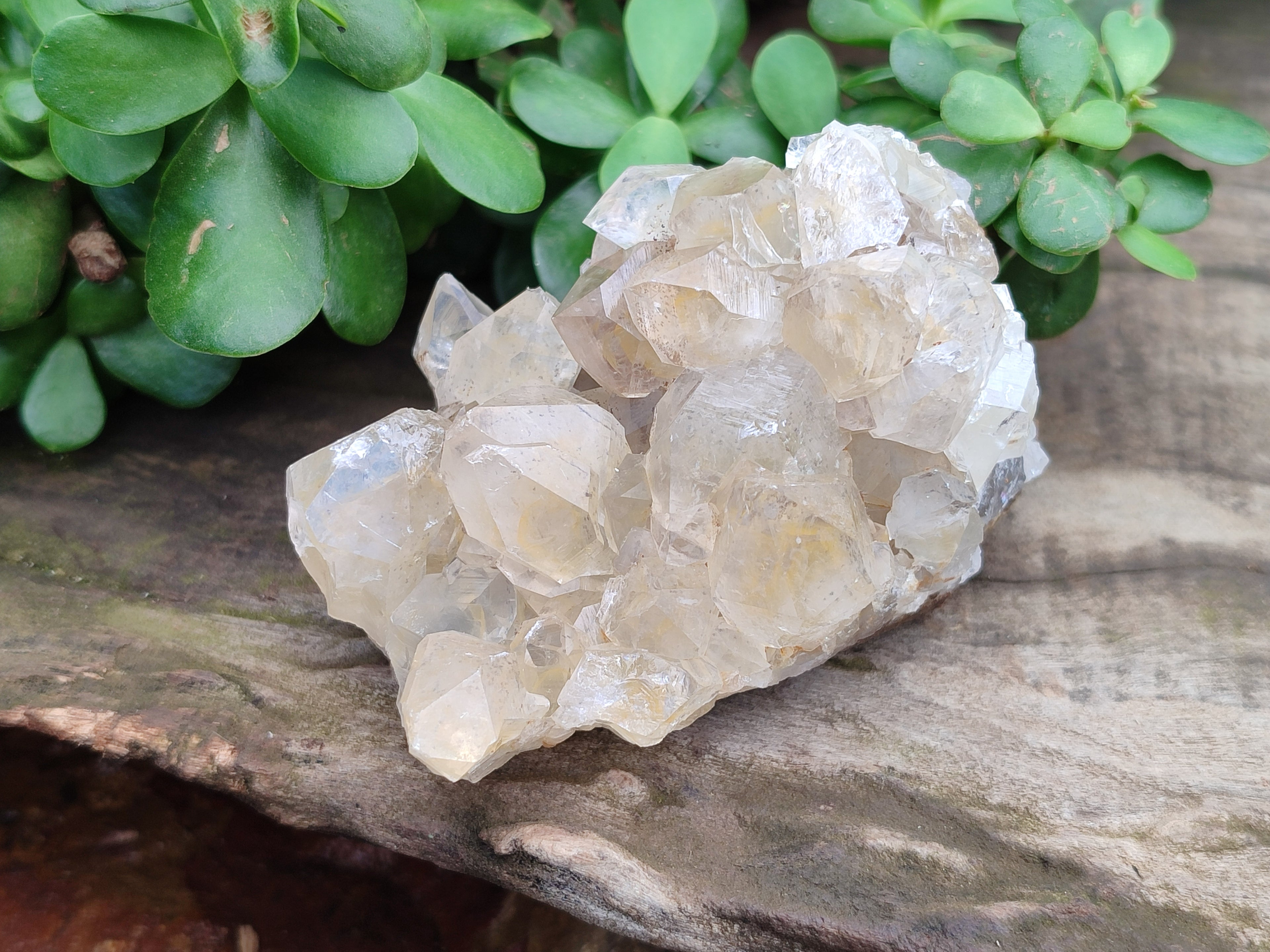Natural Limonite Quartz Clusters x 3 From Zambia - Toprock Gemstones and Minerals 