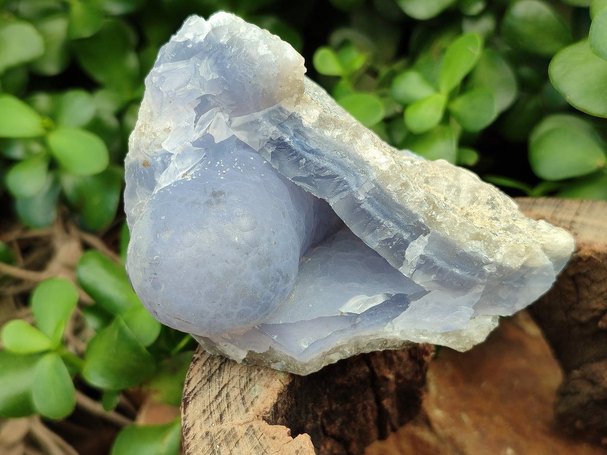 Natural Blue Lace Agate Geode Specimens x 12 From Malawi - Toprock Gemstones and Minerals 