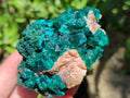 Natural Dioptase On Dolomite Specimens x 4 From Likasi, Congo - Toprock Gemstones and Minerals 