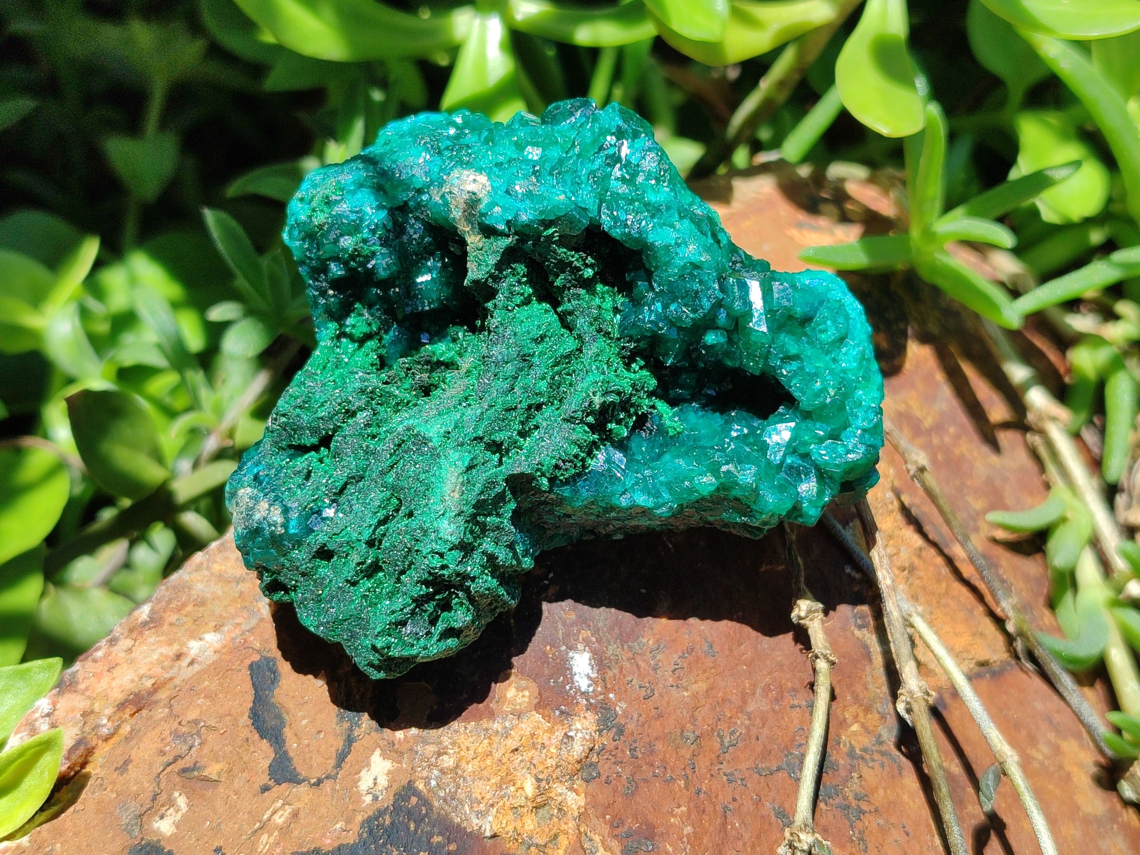 Natural Dioptase On Dolomite Specimens x 4 From Likasi, Congo - Toprock Gemstones and Minerals 