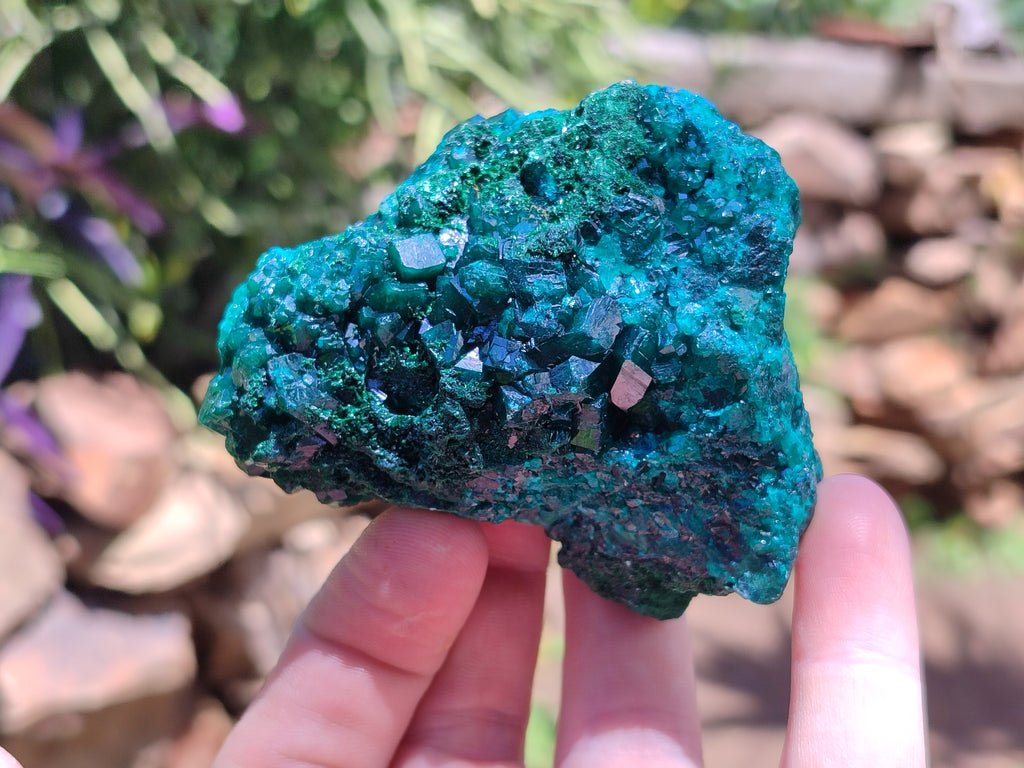 Natural Dioptase On Dolomite Specimens x 4 From Likasi, Congo - Toprock Gemstones and Minerals 