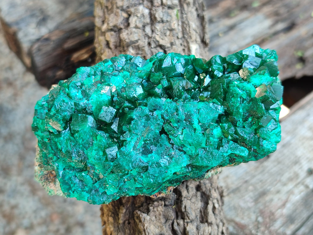 Natural Dioptase On Dolomite Specimens x 4 From Likasi, Congo - Toprock Gemstones and Minerals 