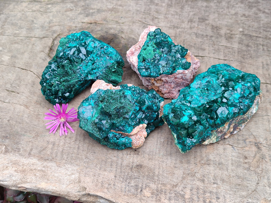 Natural Dioptase On Dolomite Specimens x 4 From Likasi, Congo - Toprock Gemstones and Minerals 