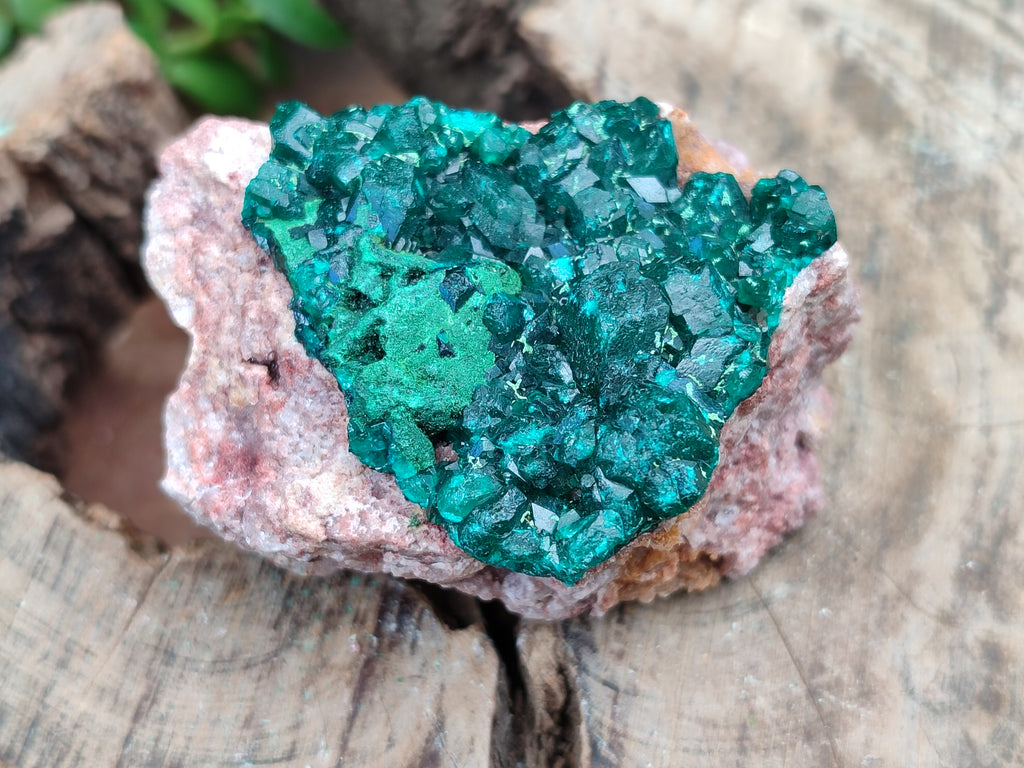 Natural Dioptase On Dolomite Specimens x 4 From Likasi, Congo - Toprock Gemstones and Minerals 
