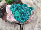 Natural Dioptase On Dolomite Specimens x 4 From Likasi, Congo - Toprock Gemstones and Minerals 