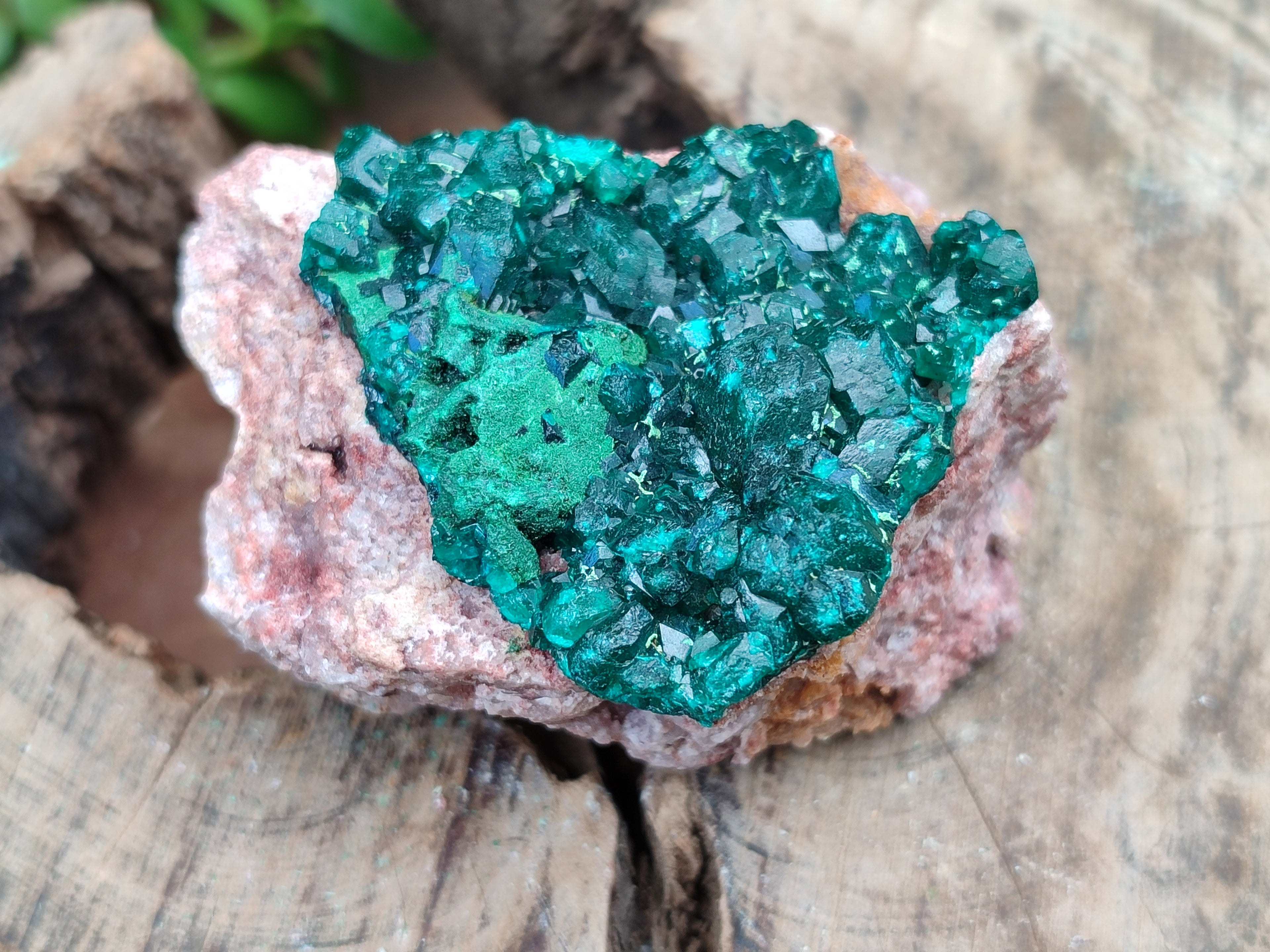 Natural Dioptase On Dolomite Specimens x 4 From Likasi, Congo - Toprock Gemstones and Minerals 