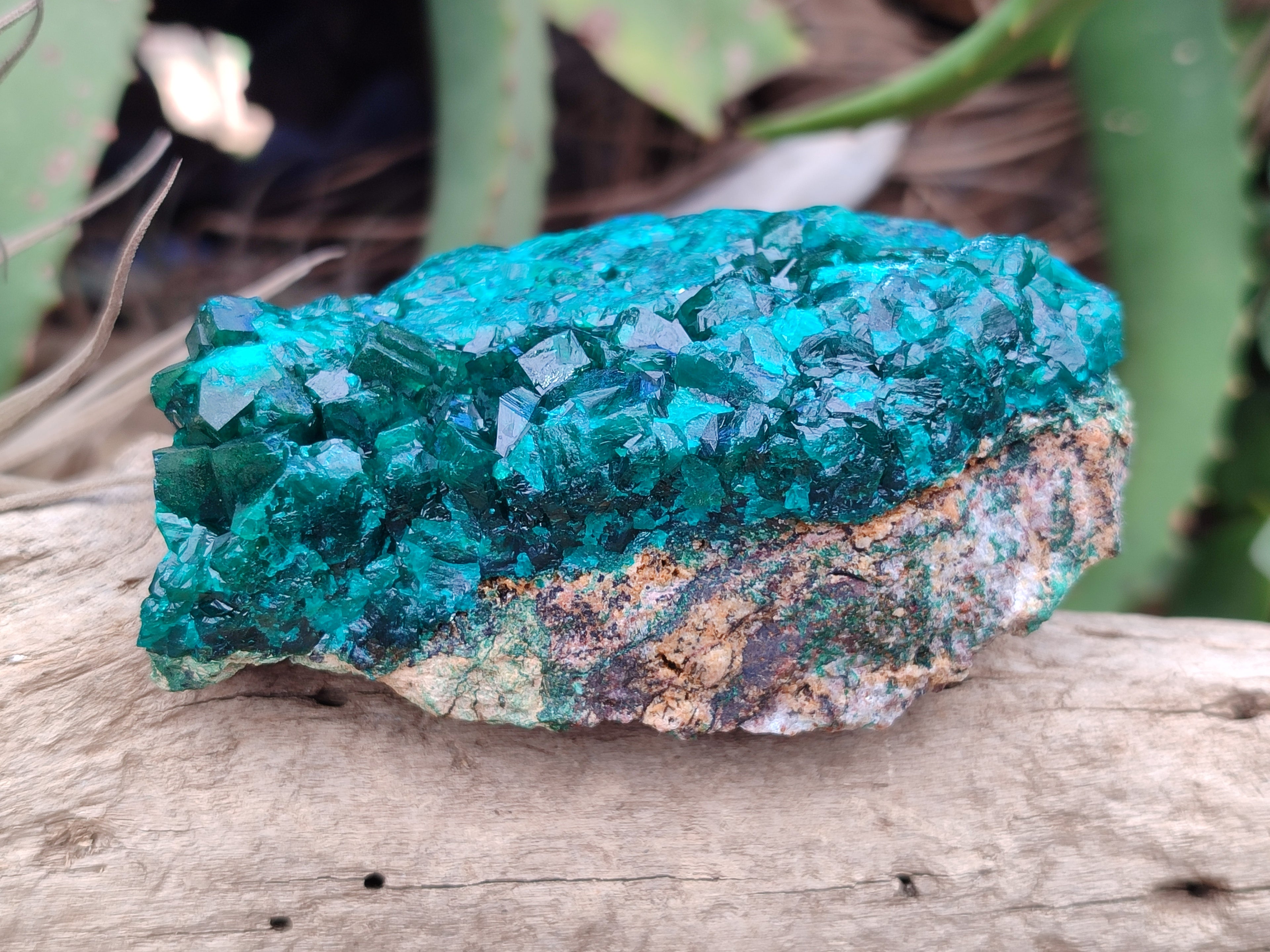 Natural Dioptase On Dolomite Specimens x 4 From Likasi, Congo - Toprock Gemstones and Minerals 