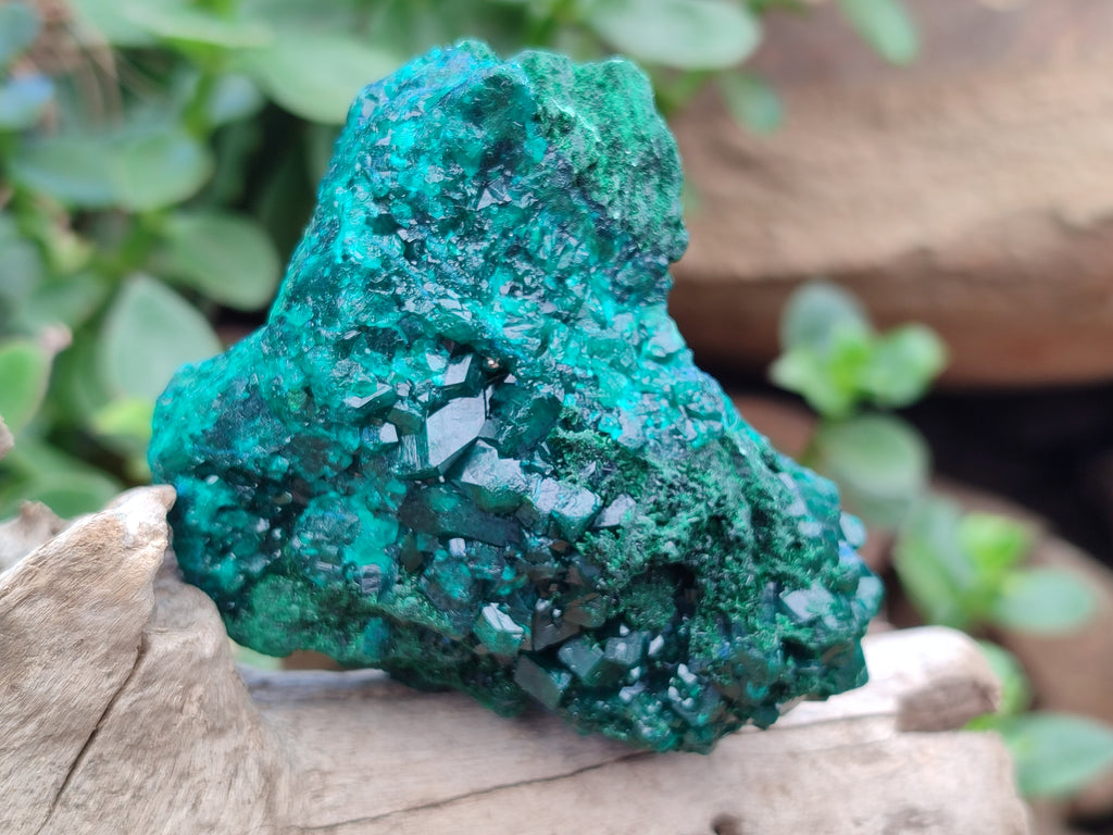 Natural Dioptase On Dolomite Specimens x 4 From Likasi, Congo - Toprock Gemstones and Minerals 