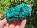 Natural Dioptase On Dolomite Specimens x 4 From Likasi, Congo - Toprock Gemstones and Minerals 