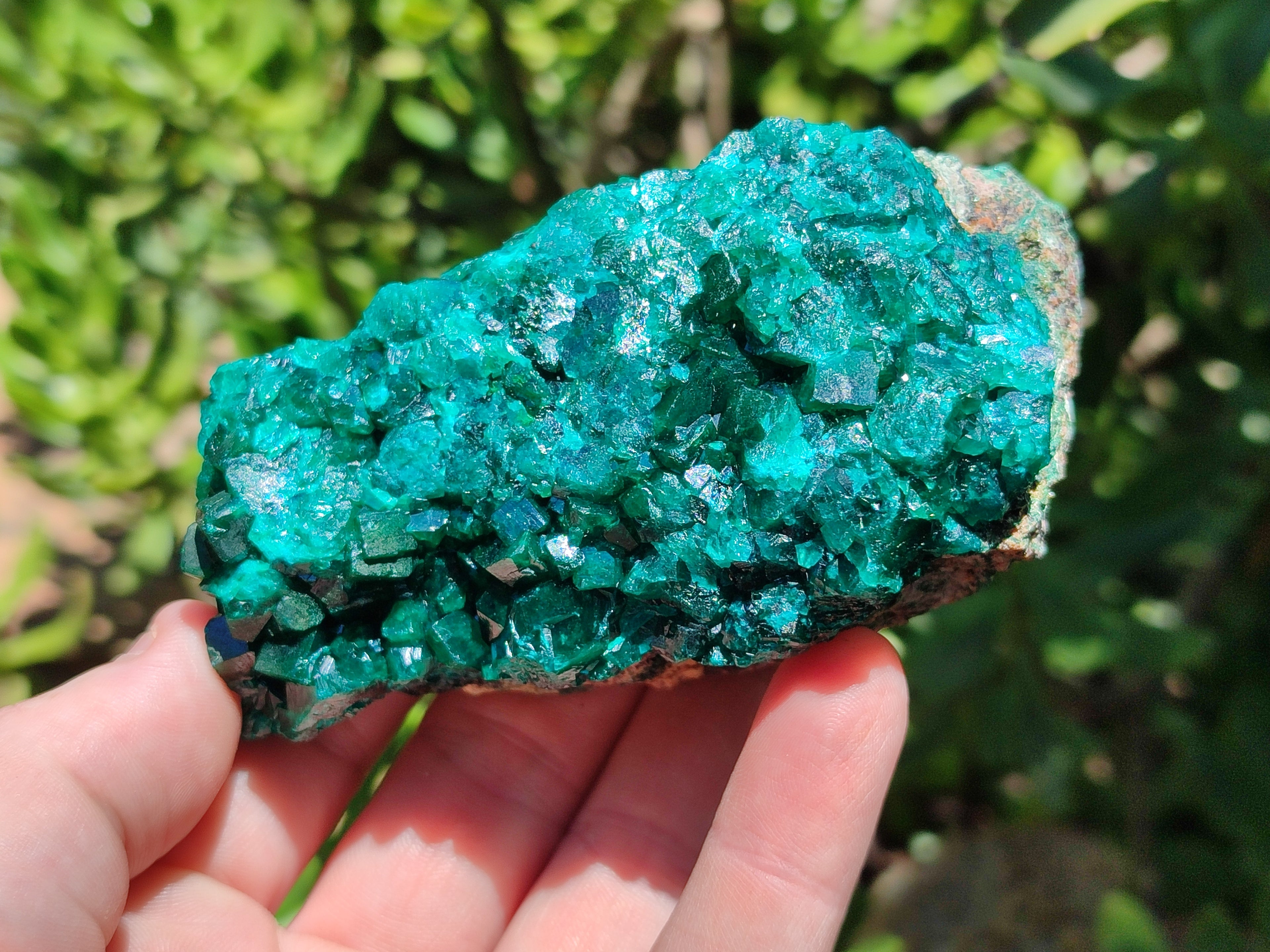 Natural Dioptase On Dolomite Specimens x 4 From Likasi, Congo - Toprock Gemstones and Minerals 