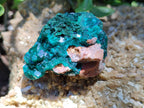 Natural Dioptase On Dolomite Specimens x 4 From Likasi, Congo - Toprock Gemstones and Minerals 