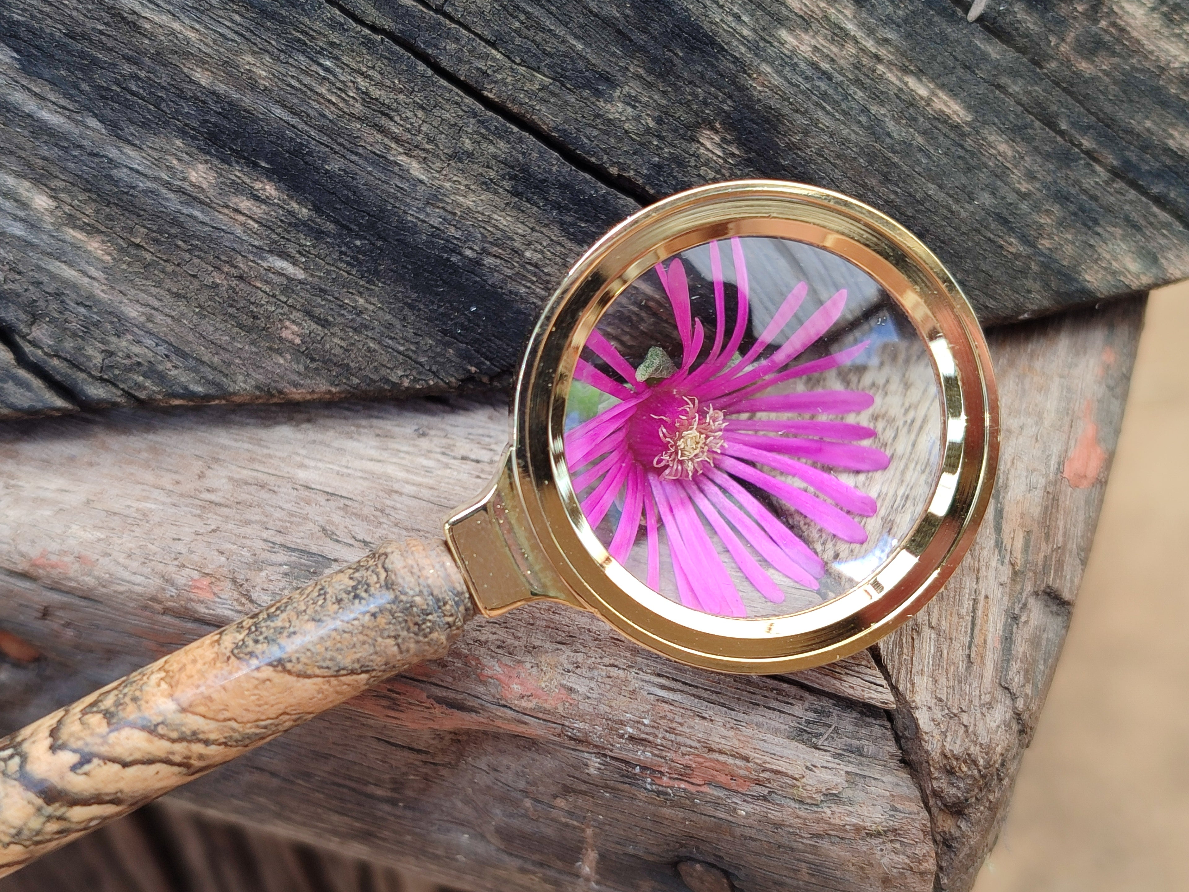 Polished Picture Stone Desk Set x 1 From Namibia - Toprock Gemstones and Minerals 