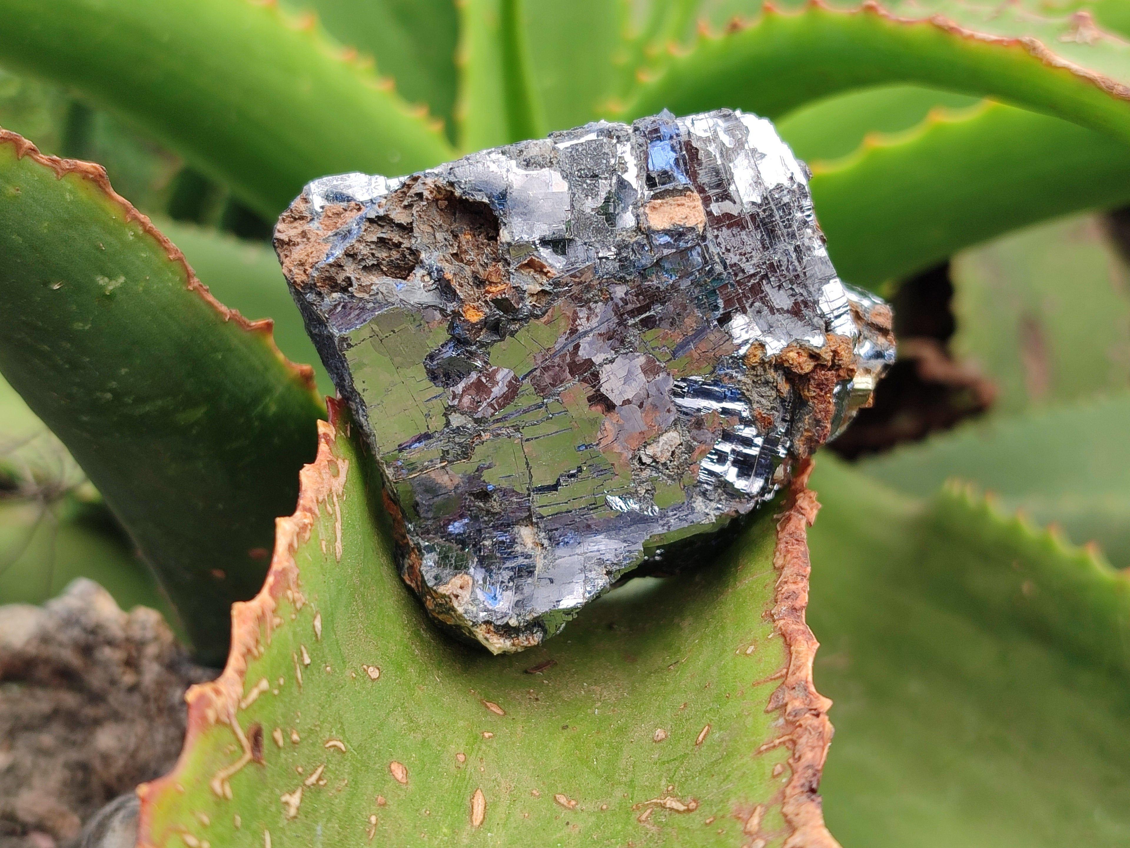 Natural Silver Lead Galena Specimens x 6 From Namibia - Toprock Gemstones and Minerals 