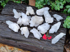 Natural White Quartz Clusters x 15 From Madagascar - Toprock Gemstones and Minerals 