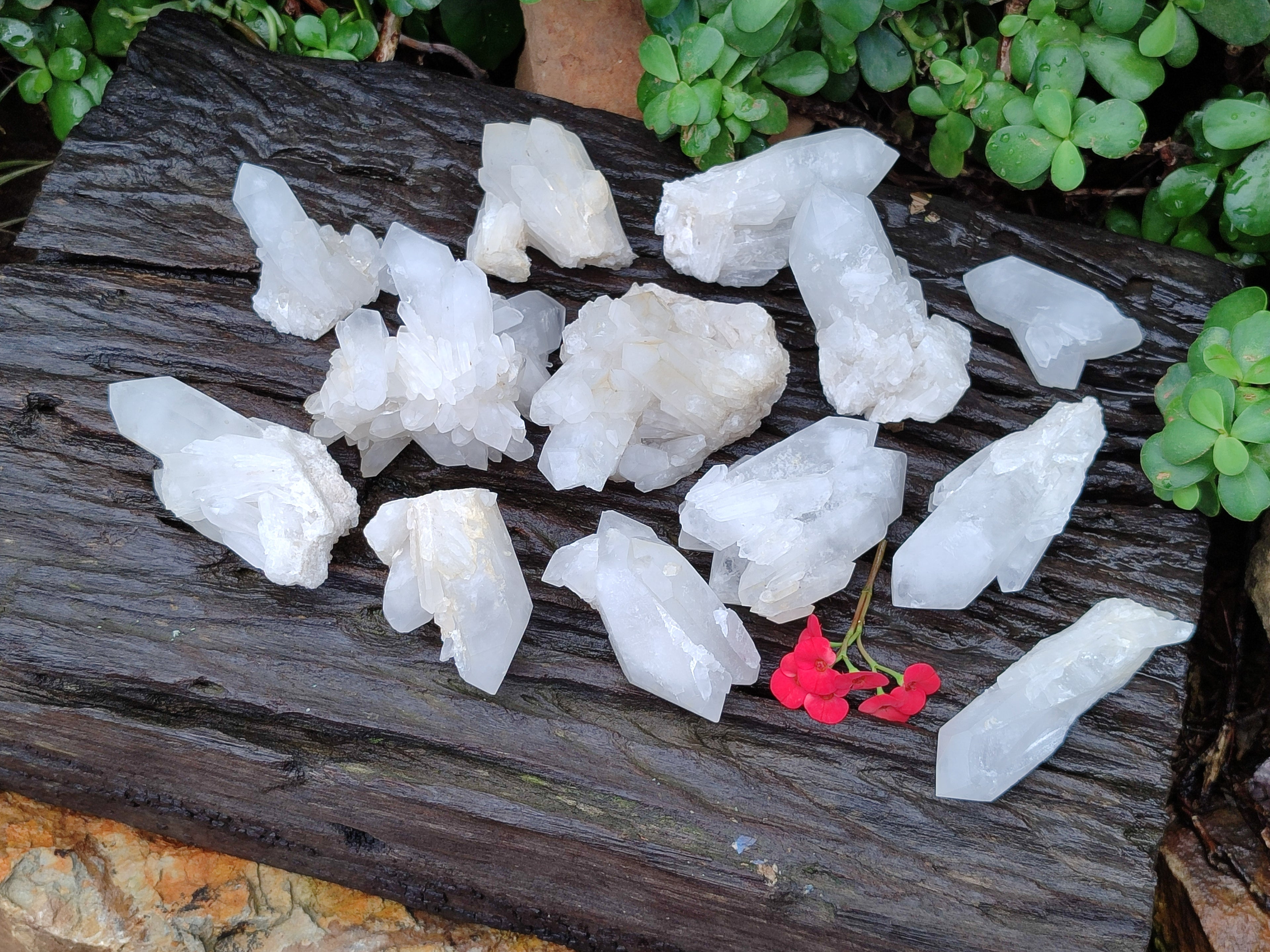 Natural White Quartz Clusters x 15 From Madagascar - Toprock Gemstones and Minerals 