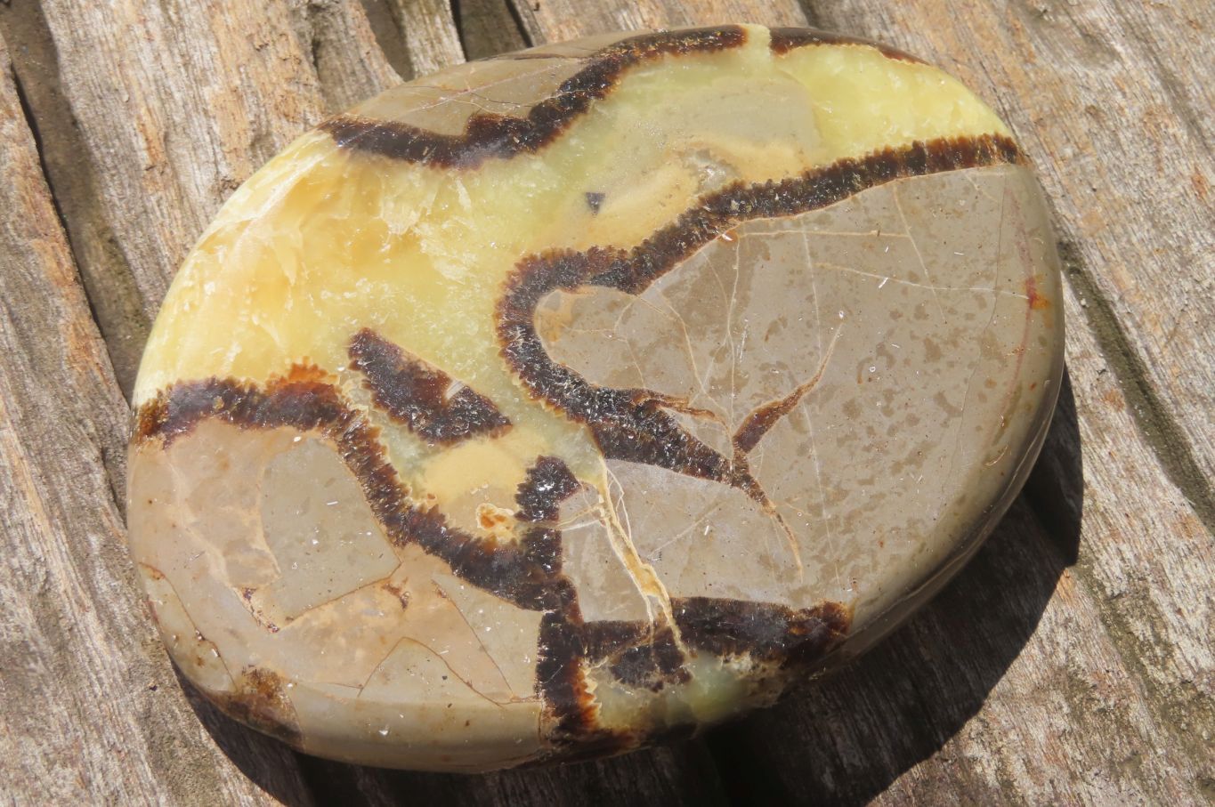 Polished Septerye Slices x 12 From Madagascar - Toprock Gemstones and Minerals 