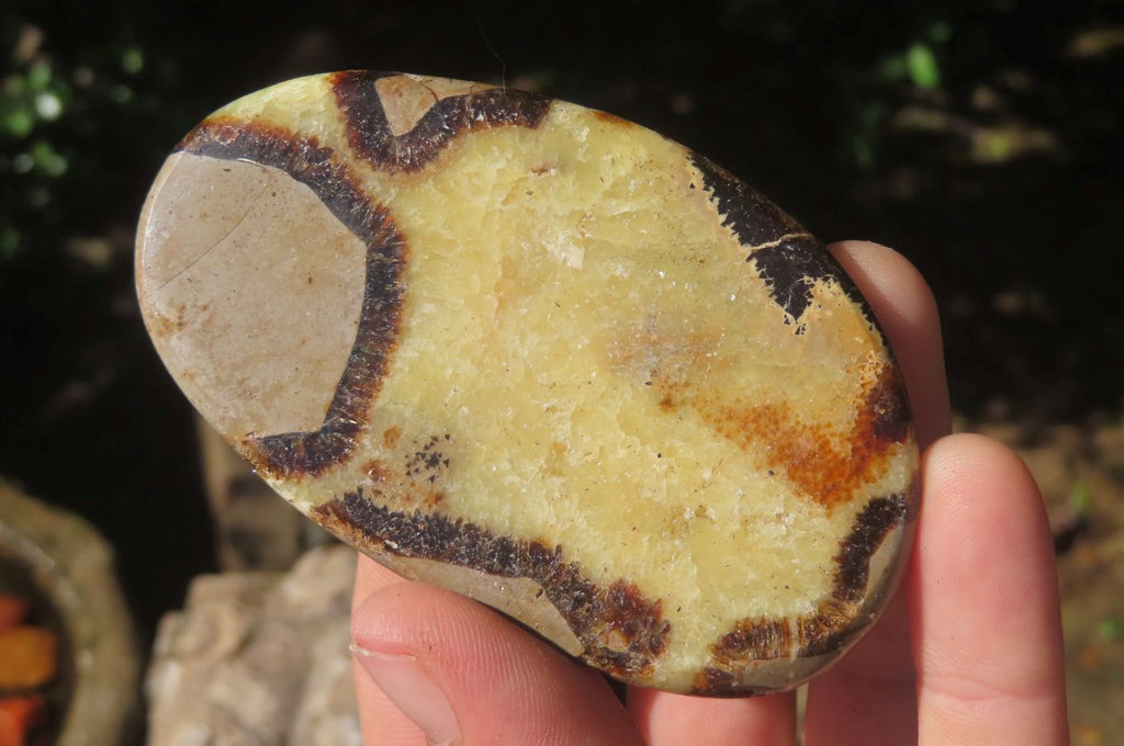 Polished Septerye Slices x 12 From Madagascar - Toprock Gemstones and Minerals 