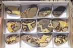 Polished Septerye Slices x 12 From Madagascar - Toprock Gemstones and Minerals 