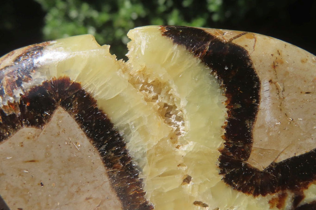 Polished Septerye Slices x 12 From Madagascar - Toprock Gemstones and Minerals 