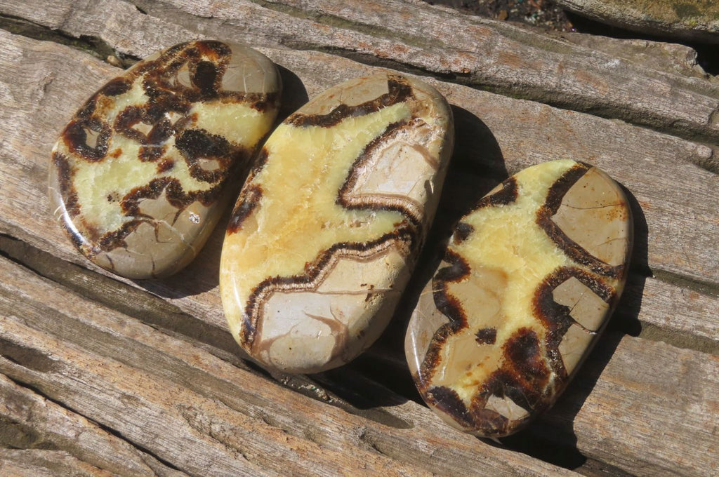 Polished Septerye Slices x 12 From Madagascar - Toprock Gemstones and Minerals 