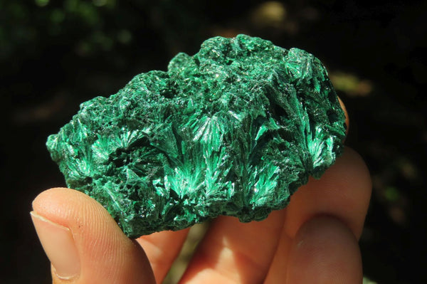 Natural Silky Malachite Specimens x 12 From Kasompe, Congo - Toprock Gemstones and Minerals 