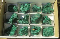 Natural Silky Malachite Specimens x 12 From Kasompe, Congo - Toprock Gemstones and Minerals 