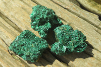 Natural Silky Malachite Specimens x 12 From Kasompe, Congo - Toprock Gemstones and Minerals 