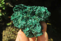Natural Silky Malachite Specimens x 12 From Kasompe, Congo - Toprock Gemstones and Minerals 
