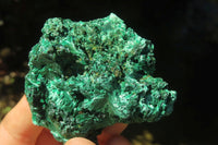Natural Silky Malachite Specimens x 12 From Kasompe, Congo - Toprock Gemstones and Minerals 