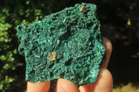 Natural Silky Malachite Specimens x 12 From Kasompe, Congo - Toprock Gemstones and Minerals 