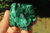 Natural Silky Malachite Specimens x 12 From Kasompe, Congo - Toprock Gemstones and Minerals 