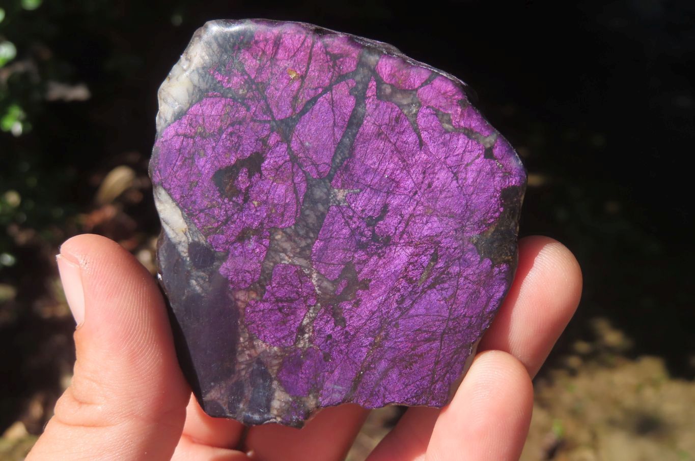 Polished On One Side Metallic Purpurite x 4 From Namibia - Toprock Gemstones and Minerals 