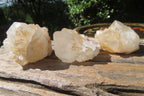 Natural Spirit Quartz Clusters x 24 From Boekenhouthoek, South Africa - Toprock Gemstones and Minerals 
