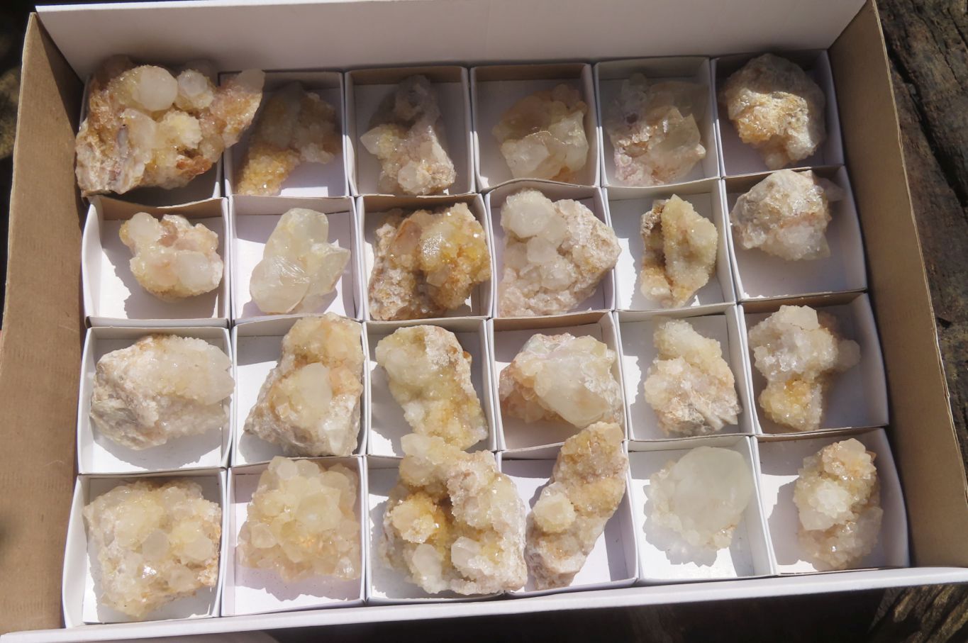 Natural Spirit Quartz Clusters x 24 From Boekenhouthoek, South Africa - Toprock Gemstones and Minerals 