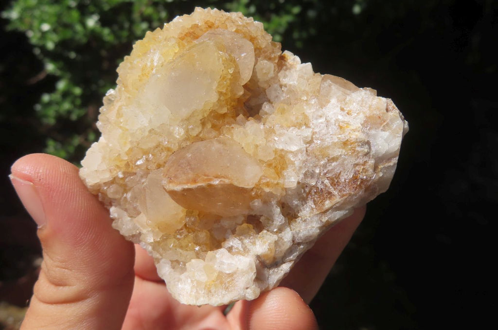 Natural Spirit Quartz Clusters x 24 From Boekenhouthoek, South Africa - Toprock Gemstones and Minerals 