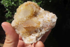 Natural Spirit Quartz Clusters x 24 From Boekenhouthoek, South Africa - Toprock Gemstones and Minerals 