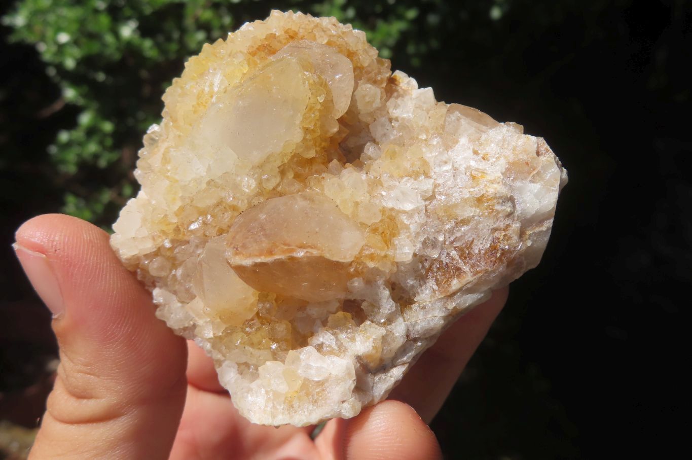 Natural Spirit Quartz Clusters x 24 From Boekenhouthoek, South Africa - Toprock Gemstones and Minerals 