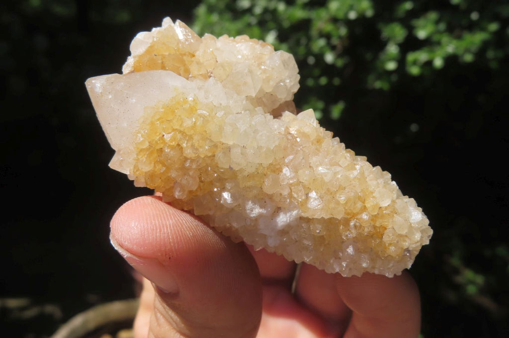 Natural Spirit Quartz Clusters x 24 From Boekenhouthoek, South Africa - Toprock Gemstones and Minerals 