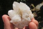 Natural Spirit Quartz Clusters x 24 From Boekenhouthoek, South Africa - Toprock Gemstones and Minerals 