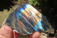 Polished On One Side Labradorite x 12 From Tulear, Madagascar - Toprock Gemstones and Minerals 