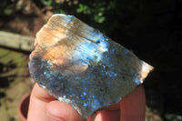 Polished On One Side Labradorite x 12 From Tulear, Madagascar - Toprock Gemstones and Minerals 