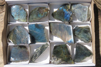 Polished On One Side Labradorite x 12 From Tulear, Madagascar - Toprock Gemstones and Minerals 