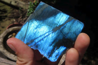 Polished On One Side Labradorite x 12 From Tulear, Madagascar - Toprock Gemstones and Minerals 